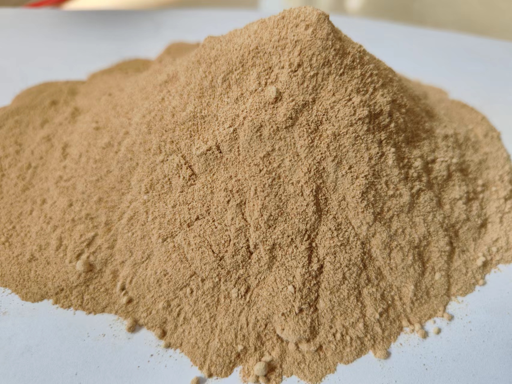 DX-9微生物菌劑(1000億/克）